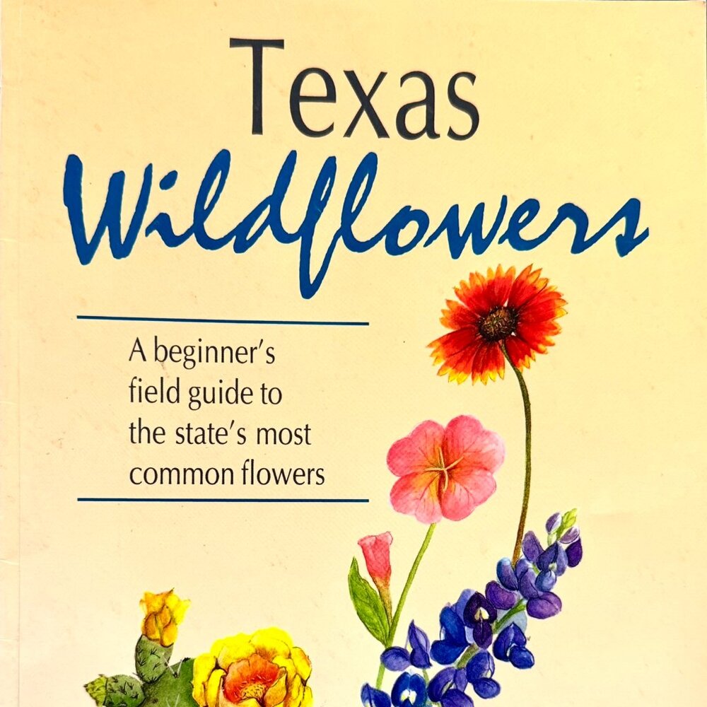 TEXAS WILDFLOWERS~~Beginner's Field Guide to the State's Most Common Flowers pb.